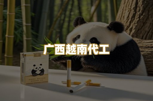 广西越南代工